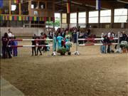 voltitag 2009 _CD1 072